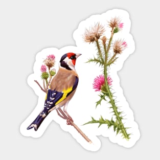 European Goldfinch Sticker